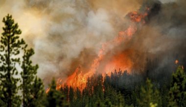 Οι ειδικοί προειδοποιούν: «Κίνδυνος για περισσότερες πυρκαγιές από τις υψηλές θερμοκρασίες και την ξηρασία»
