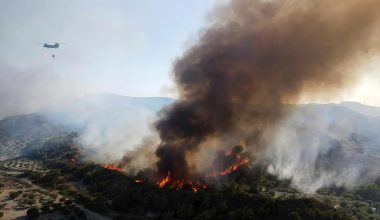 Πήλιο: Φωτιά στο Μούρεσι – Κινητοποιήθηκαν επίγειες και εναέριες δυνάμεις