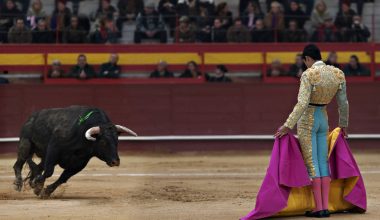 Ισπανία: Τέλος τα έπαθλα στις ταυρομαχίες – Από το 2011 ο νικητής έπαιρνε 30.000 ευρώ