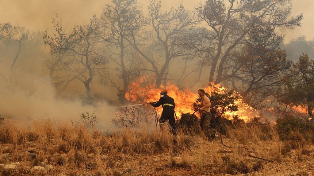 Λουτράκι: Φωτιά σε δασική έκταση στον οικισμό Ειρήνη (φώτο)