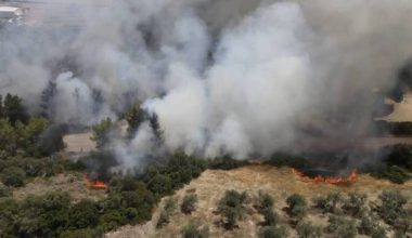 Φωτιά στην Προσύμνη Αργολίδας – Καίγεται δασική έκταση (upd)