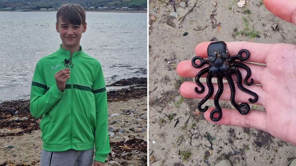 Κορνουάλη: Εξαιρετικά συλλεκτικό lego χταπόδι που είχε χαθεί το 1997 σε ναυάγιο βρέθηκε από 13χρονο