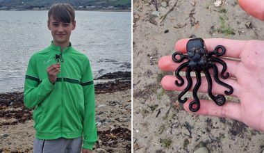 Κορνουάλη: Εξαιρετικά συλλεκτικό lego χταπόδι που είχε χαθεί το 1997 σε ναυάγιο βρέθηκε από 13χρονο