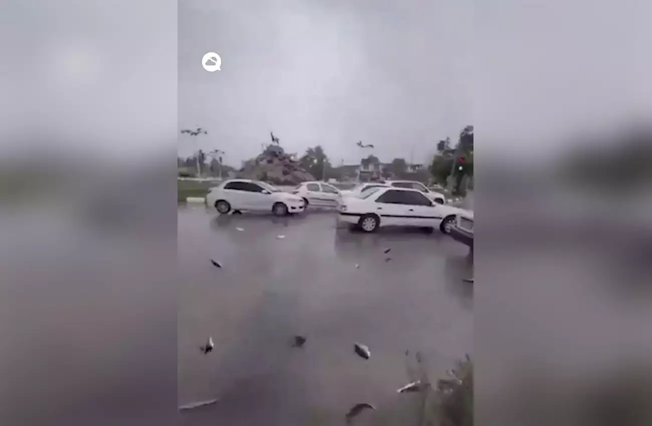 Έβρεξε ψάρια στο Ιράν; – Το βίντεο που έγινε viral στα social media