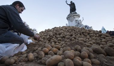 Ανεβαίνει (και) η τιμή της πατάτας – Αυξημένο κόστος παραγωγής και ανομβρία την καθιστούν είδος πολυτελείας