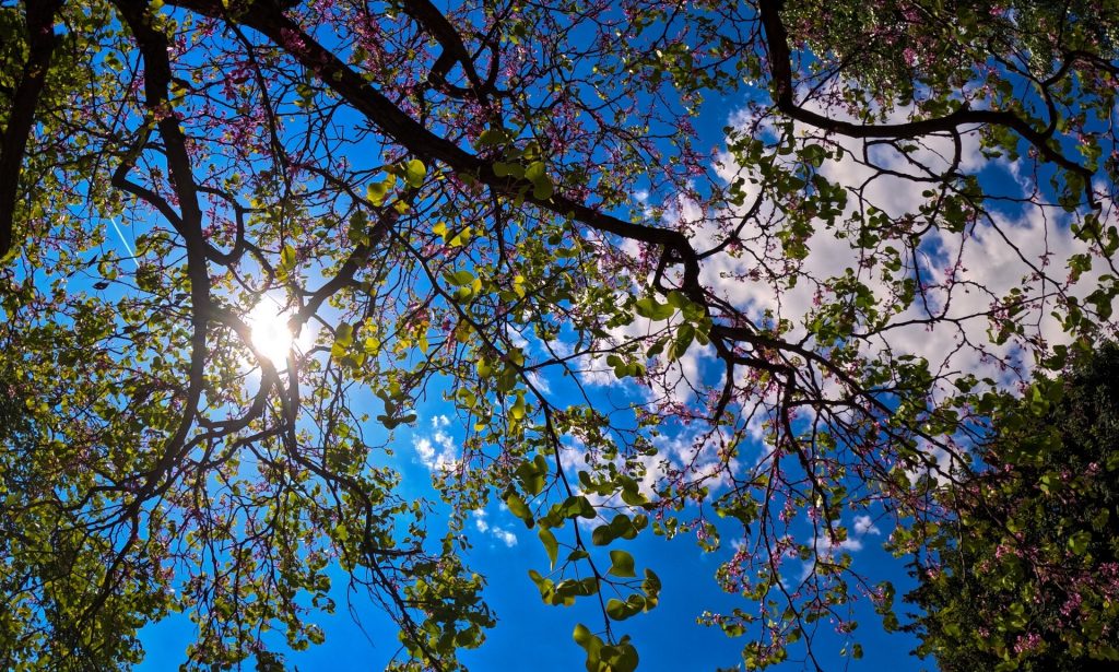 Βελτιωμένος σήμερα ο καιρός με άνοδο της θερμοκρασίας – Αναλυτικά η πρόγνωση της ΕΜΥ για όλη τη χώρα