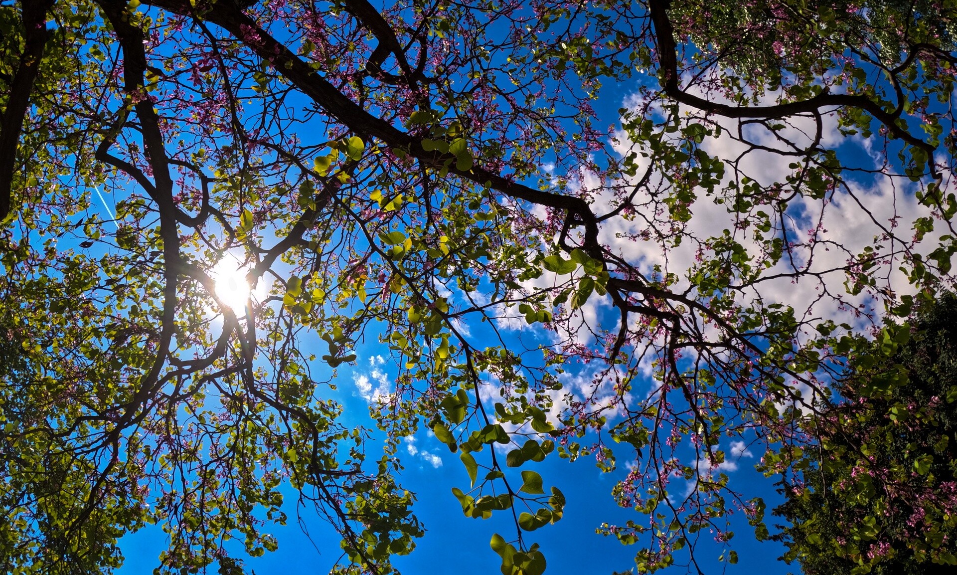 Βελτιωμένος σήμερα ο καιρός με άνοδο της θερμοκρασίας – Αναλυτικά η πρόγνωση της ΕΜΥ για όλη τη χώρα