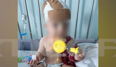 Νέα Σμύρνη: «Το έχει δαγκώσει στο κεφάλι του» λέει ο πατέρας του 11 μηνών μωρού που του επιτέθηκε σκύλος (βίντεο) 