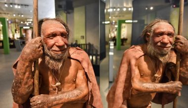 Εντοπίστηκαν τρεις ιοί στα λείψανα Νεάντερταλ που έζησαν πριν από 50.000 χρόνια – Τι αναφέρουν οι επιστήμονες