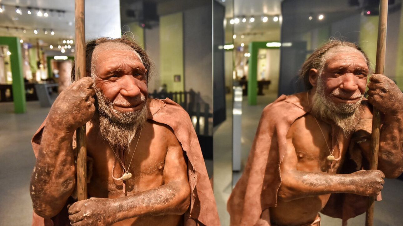 Εντοπίστηκαν τρεις ιοί στα λείψανα ανθρώπου Νεάντερταλ που έζησαν πριν από 50.000 χρόνια! – Τι αναφέρουν οι επιστήμονες