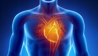 ΠΟΥ: 10.000 άνθρωποι την ημέρα πεθαίνουν στην Ευρώπη από καρδιαγγειακές παθήσεις