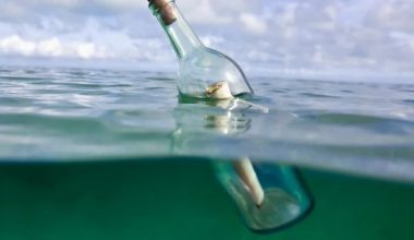 Μήνυμα σε μπουκάλι ξέβρασε η θάλασσα στην Εύβοια – Τι έγραφε (βίντεο)