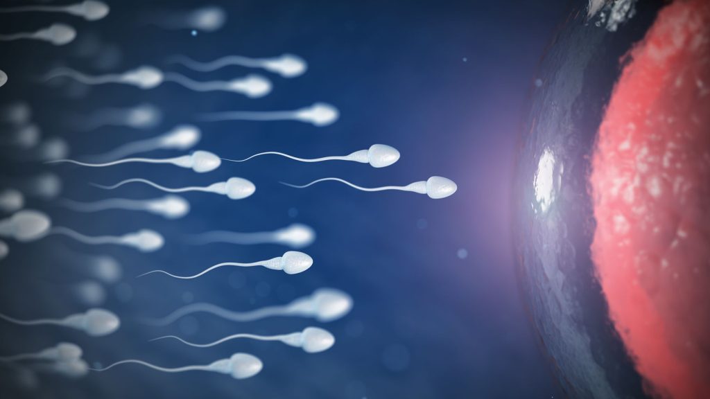 Φυτοφάρμακο εντοπίστηκε στο σπέρμα ανδρών με υπογονιμότητα – Χρησιμοποιείται και στην Ελλάδα