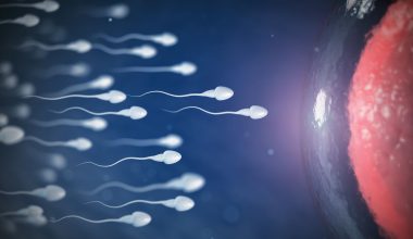 Φυτοφάρμακο εντοπίστηκε στο σπέρμα ανδρών με υπογονιμότητα – Χρησιμοποιείται και στην Ελλάδα