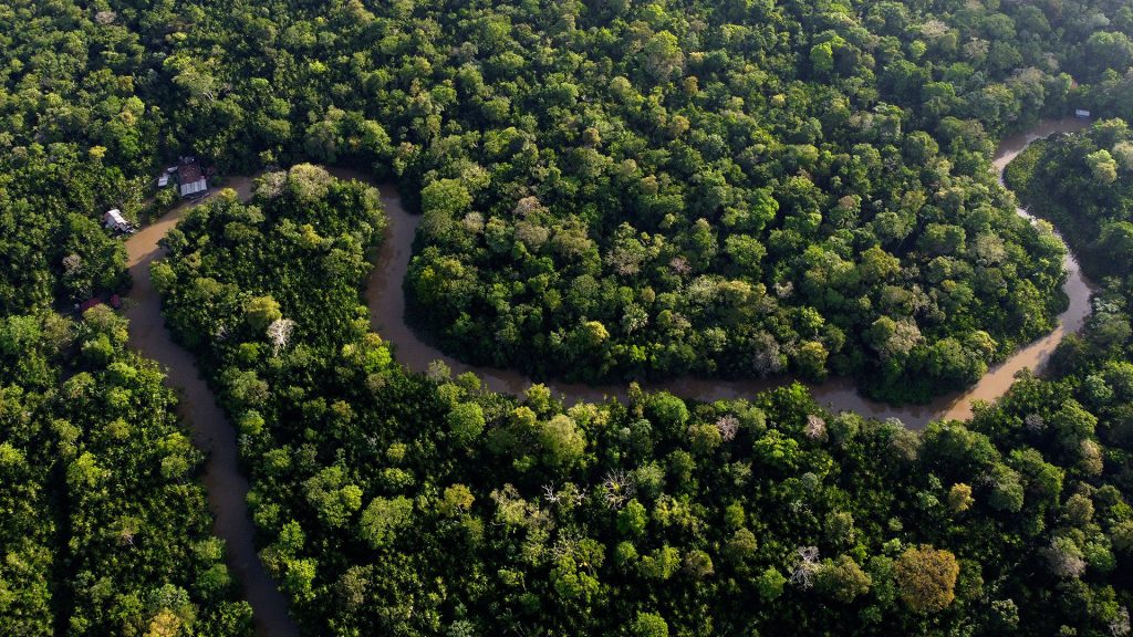 Ο αλεξιπτωτιστής που σκόρπισε από τον ουρανό 100 εκατ. σπόρους στον Αμαζόνιο για αναδάσωση (βίντεο)