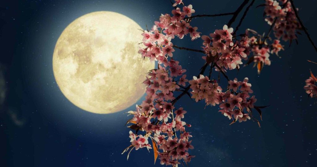 «Φεγγάρι των λουλουδιών»: Δείτε πότε είναι η πανσέληνος Μαΐου