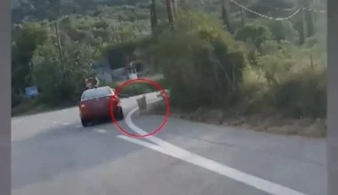 Περιστατικό κακοποίησης ζώου στο Ναύπλιο: Αυτοκίνητο εν κινήσει με τον συνοδηγό να κρατάει το λουρί σκύλου που έτρεχε στο πλάι