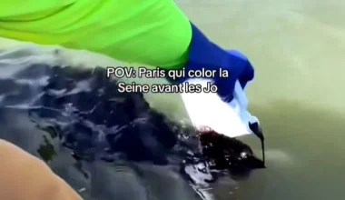 «Το Παρίσι… βάφει τον Σηκουάνα πριν τους Ολυμπιακούς»: Δείτε το βίντεο που προκάλεσε αντιδράσεις 