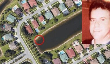 Εντόπισαν πτώμα άνδρα που αγνοούνταν 22 χρόνια χάρη στο Google Earth