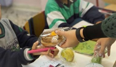 ΟΠΕΚΑ: Αναστέλλεται η διανομή σχολικών γευμάτων στο δήμο Λαμιέων