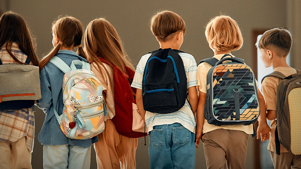 Λαμία: Νέες καταγγελίες για τα χαλασμένα γεύματα – Βρήκαν έντομα μέσα σε σάντουιτς (βίντεο)