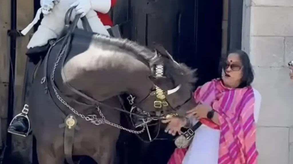 Τα «πήρε» άλογο της Βασιλικής Φρουράς στο παλάτι του Μπάκιγχαμ και δάγκωσε τουρίστρια (βίντεο)