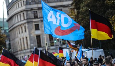 Ταυτότητα και Δημοκρατία: Αποβολή του AfD από την ευρωομάδα