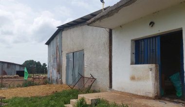 Έγκλημα στο Κιλκίς: Προφυλακίστηκαν οι δύο ανήλικοι που κατηγορούνται για απόπειρα ληστείας του κτηνοτρόφου
