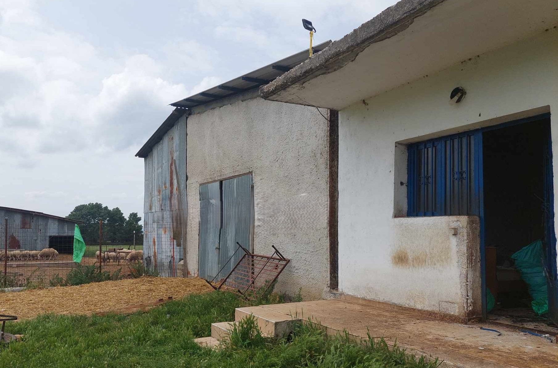 Έγκλημα στο Κιλκίς: Προφυλακίστηκαν οι δύο ανήλικοι που κατηγορούνται για απόπειρα ληστείας του κτηνοτρόφου