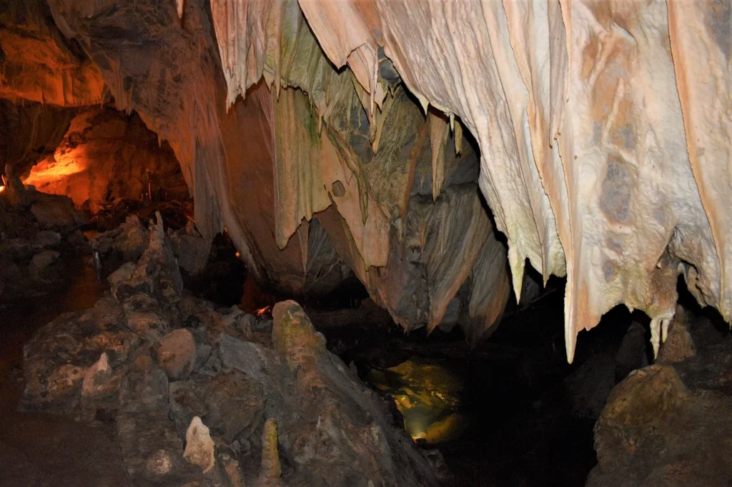 Αυστραλία: Το μικροσκοπικό πλάσμα που ανακαλύφθηκε από επιστήμονες σε σπηλιά (φώτο)