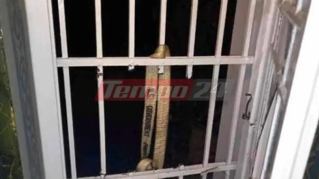 Αίγιο: Άγνωστοι έκλεψαν τάματα από τον ιερό ναό Παναγίας Τρυπητής