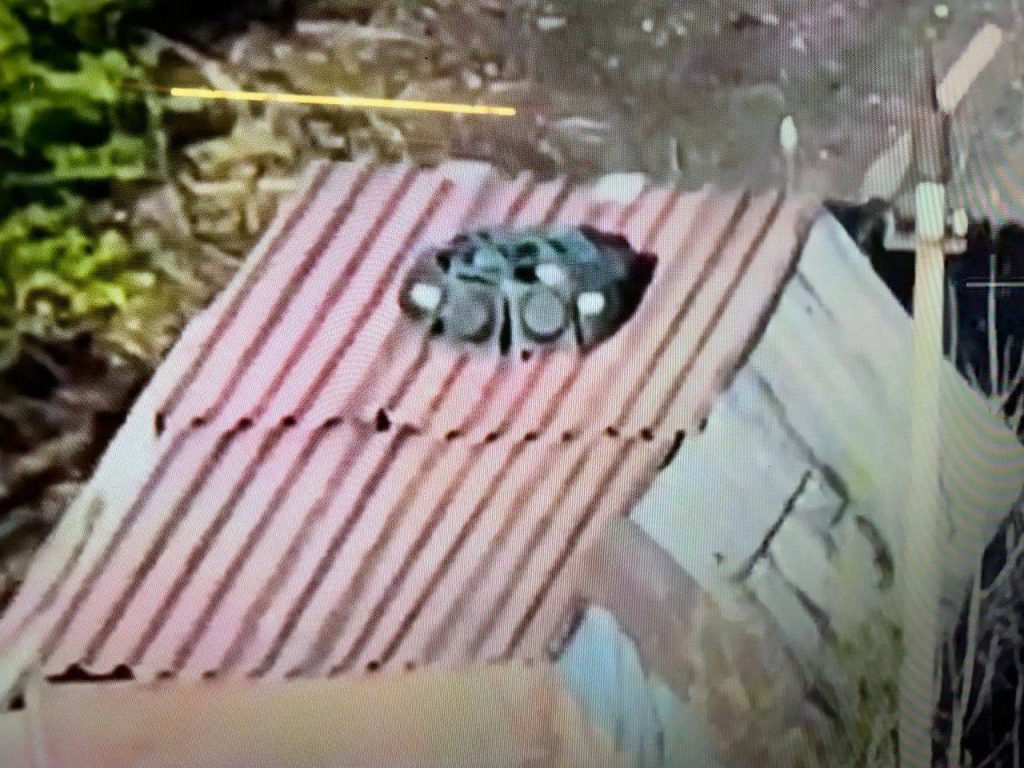 Κρασνογκορόβκα: Ρωσικά άρματα μάχης «χελώνες» συνεχίζουν να δρουν παρά τα συνεχή πλήγματα (βίντεο)