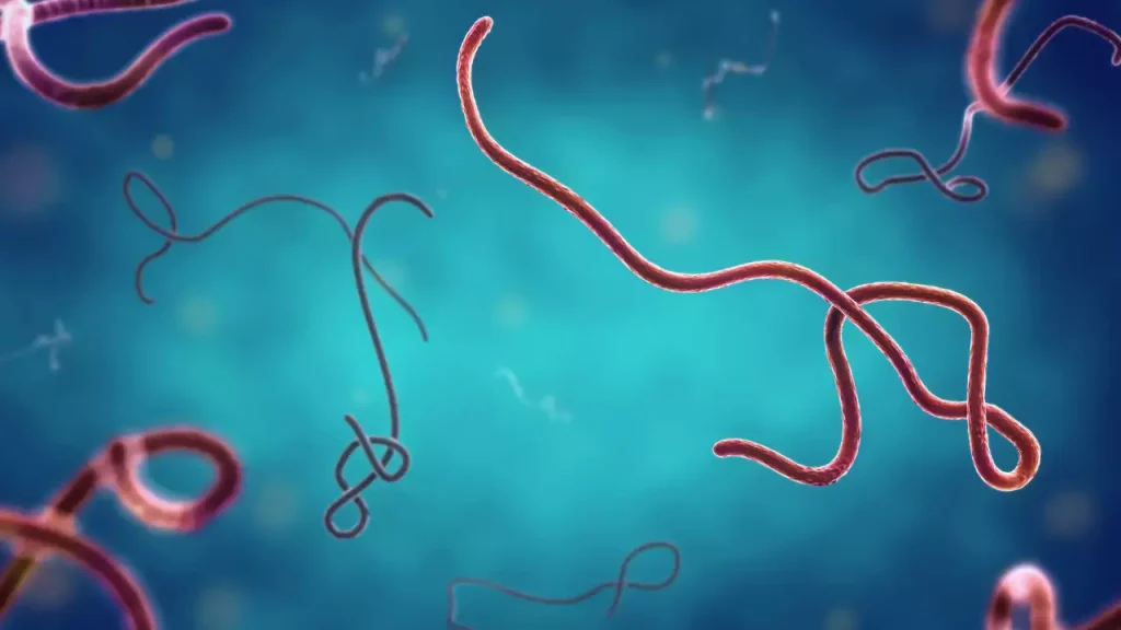 Κινέζοι επιστήμονες δημιούργησαν ιό τύπου Έμπολα που μπορεί να σκοτώσει σε τρεις μόλις μέρες