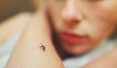 Ιός του Δυτικοί Νείλου: «Οι ψεκασμοί είναι η μόνη λύση για να μην ξεφύγουν οι πληθυσμοί των κουνουπιών»