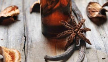 Αστεροειδής γλυκάνισος: Τα οφέλη του για την υγεία – Θα μπορούσε να είναι το μυστικό του υγιούς ύπνου;