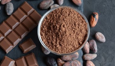 Ελβετοί επιστήμονες δημιούργησαν νέο είδος σοκολάτας – Είναι πιο υγιεινή και πιο βιώσιμη