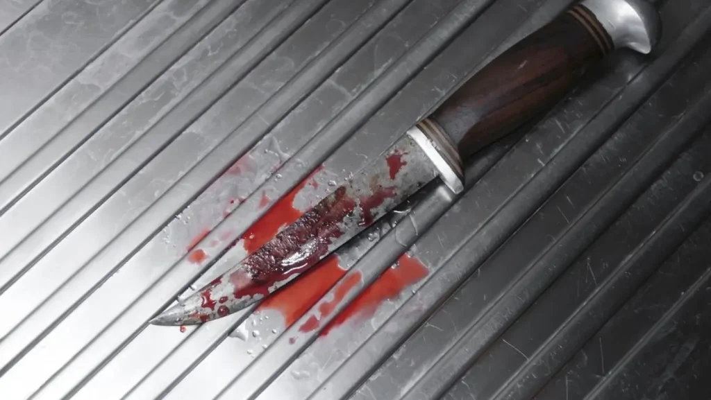 Ανατροπή στην υπόθεση της Νίκαιας: Αυτοτραυματίστηκε η γυναίκα που βρέθηκε μαχαιρωμένη