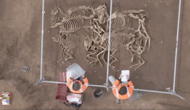 Γαλλία: Αρχαιολόγοι ανακάλυψαν εννέα μεγάλους τάφους ηλικίας 2.000 ετών με τα λείψανα 28 αλόγων (φώτο-βίντεο)