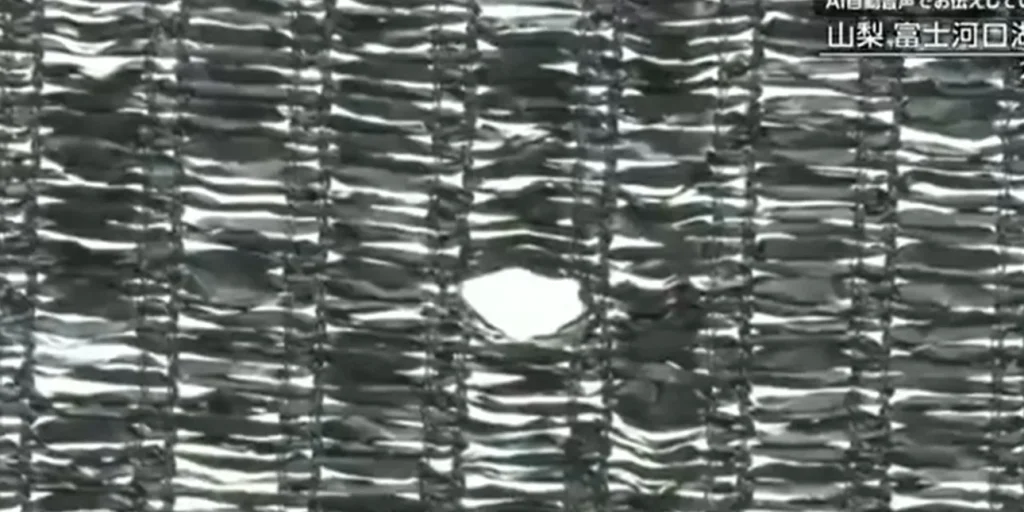 Δεν πτοήθηκαν οι τουρίστες – Τρύπησαν φράχτη που στήθηκε για να μην φωτογραφίζουν το όρος Φούτζι (βίντεο) 