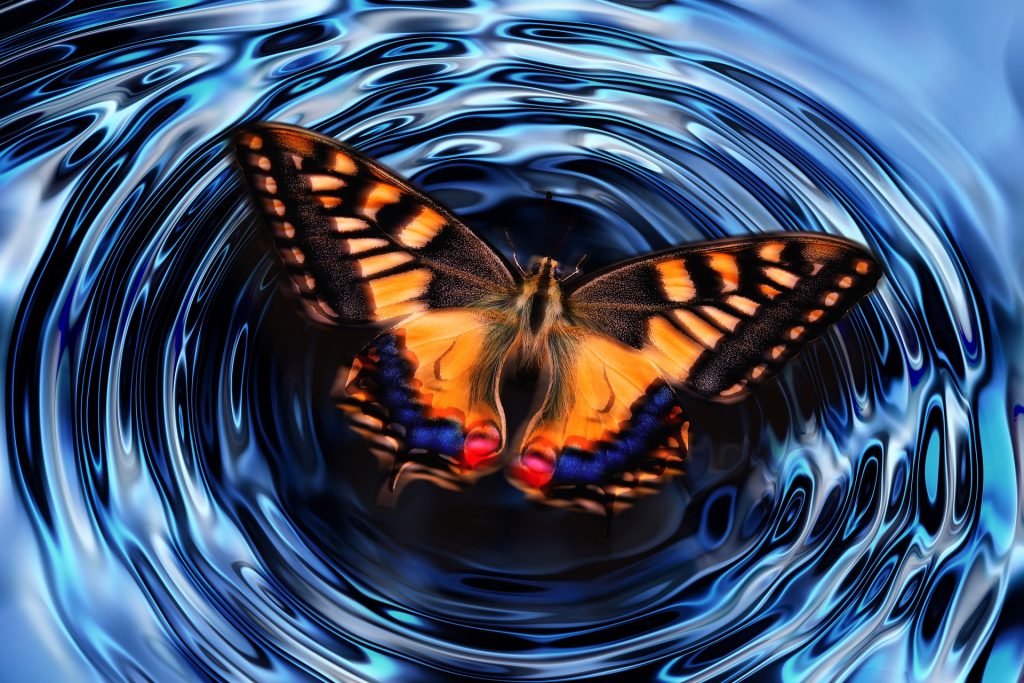 «Φαινόμενο της πεταλούδας»: Τι είναι και γιατί ονομάστηκε έτσι;