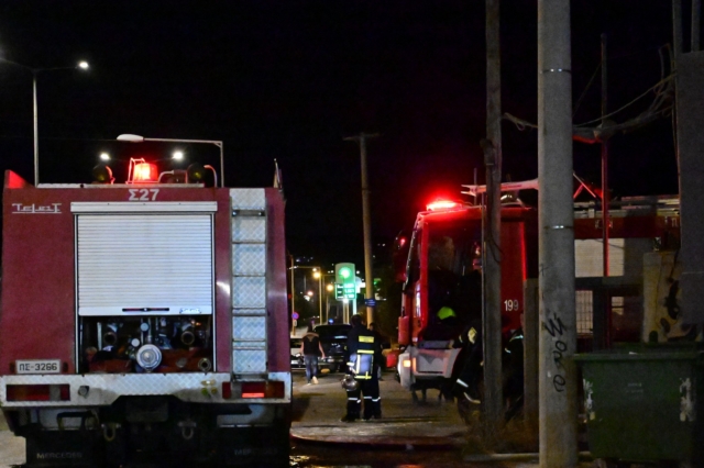 Πήλιο: Σε ηλικιωμένη από την Αυστρία ανήκει η καμένη σορός σε ΙΧ – Έπεσε σε χαντάκι και απανθρακώθηκε από τη φωτιά