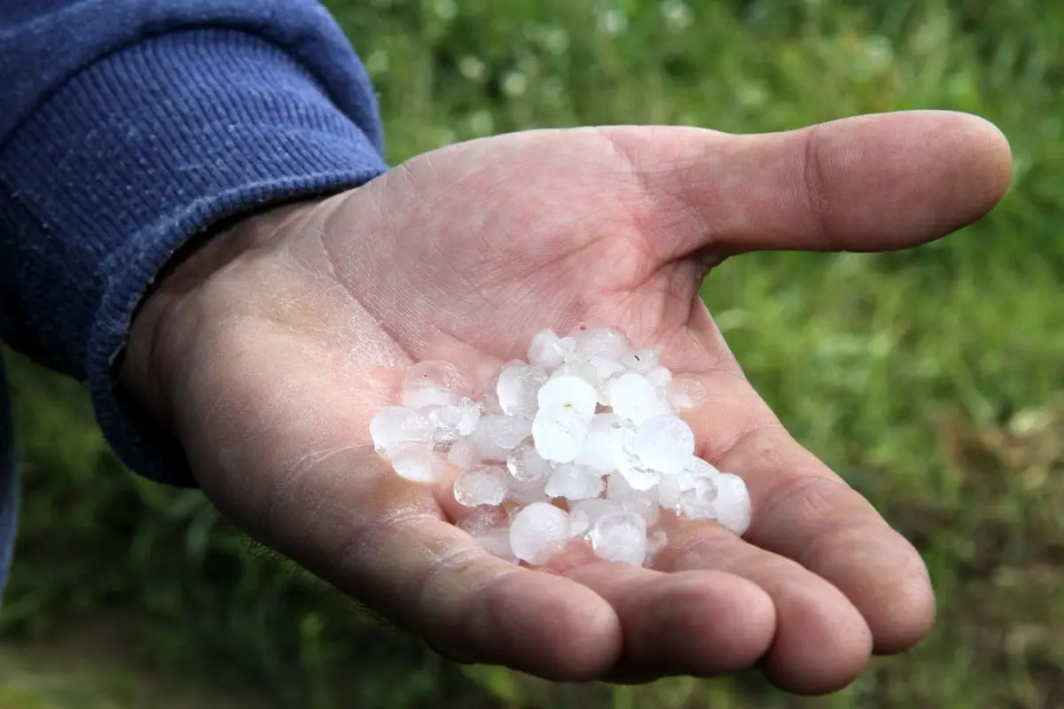 Πέλλα: Χαλαζόπτωση προκάλεσε καταστροφές σε καλλιέργειες (φώτο)