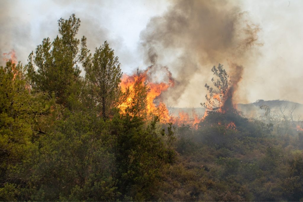 Φωτιά σε γεωργική έκταση στην Αλίαρτο Βοιωτίας – Μήνυμα από το «112»