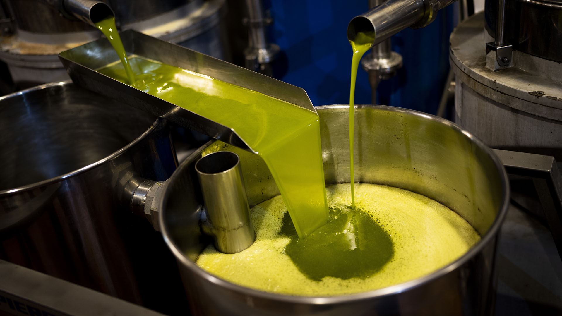 Θεσσαλονίκη: Συνελήφθη 52χρονος που πωλούσε λάδι αμφιβόλου ποιότητας, άγνωστης προέλευσης και ύποπτου νοθείας (φώτο)