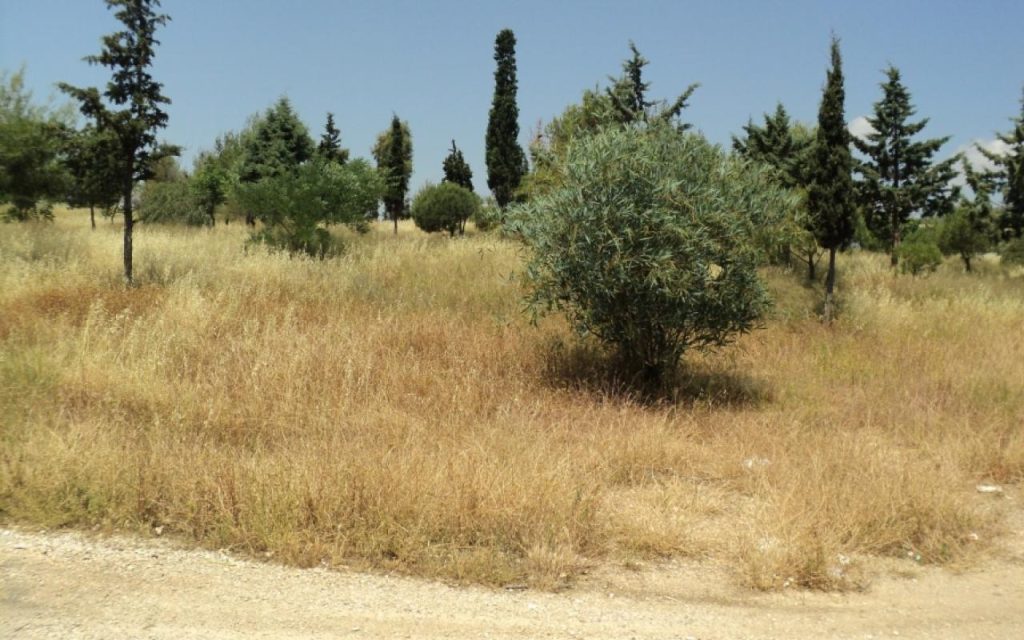 Σε… αναμμένα κάρβουνα οι ιδιοκτήτες: Η ΠΟΜΙΔΑ ζητά νέα παράταση για τα ακαθάριστα οικόπεδα