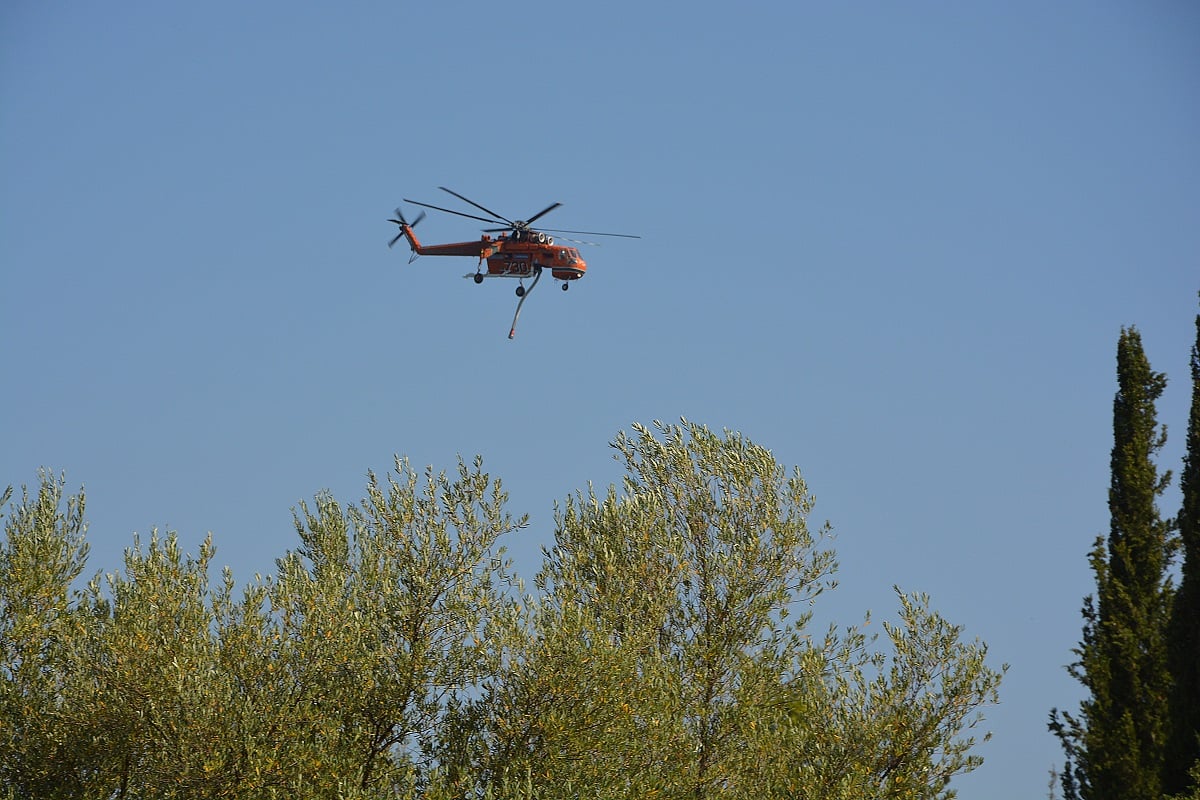 Ξέσπασε φωτιά στη Μεγαλόπολη Αρκαδίας – Ήχησε το 112 για εκκένωση