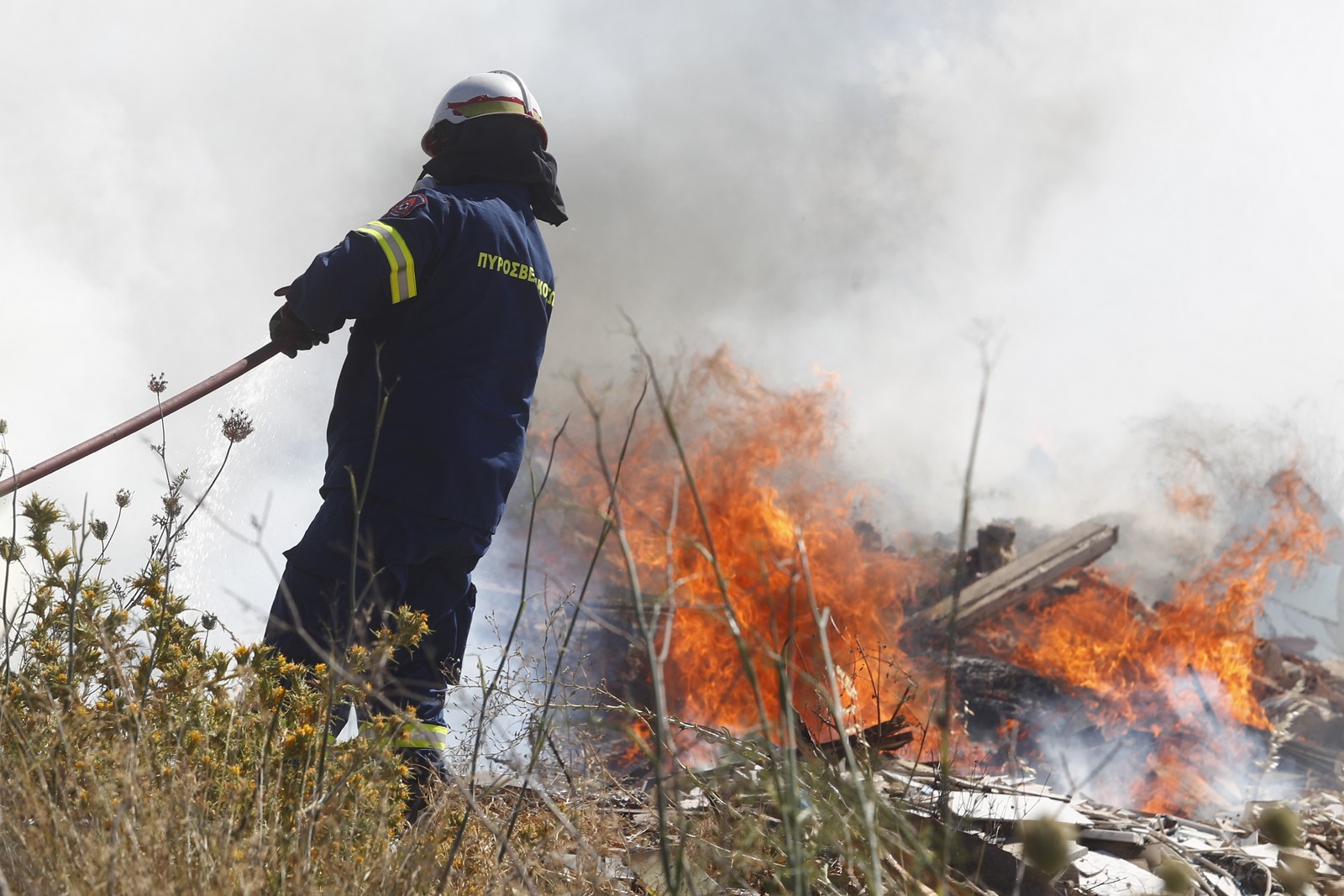 Φωτιά στα Φάρσαλα – Στο σημείο επιχειρούν 42 πυροσβέστες 