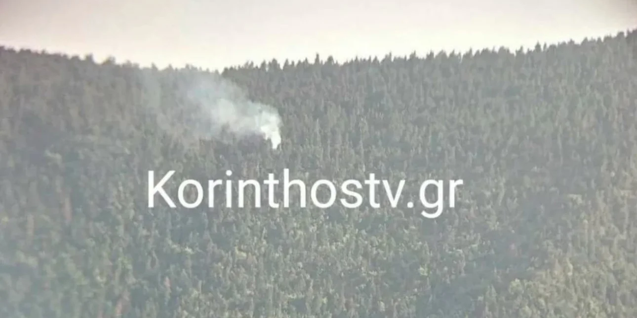 Υπό έλεγχο τέθηκε η φωτιά που ξέσπασε στη Λαύκα Κορινθίας – Προκλήθηκε από κεραυνό (upd)