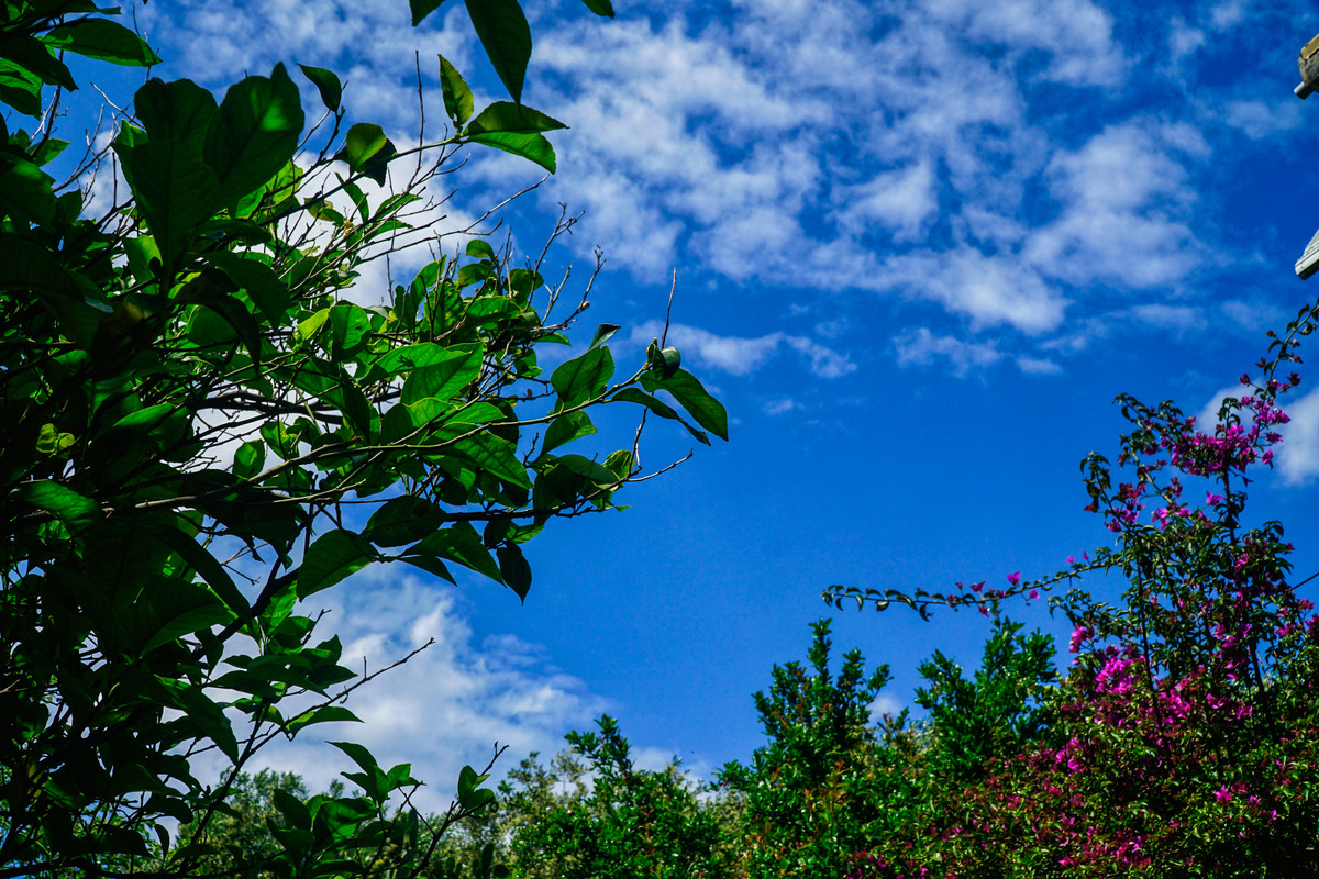 Αίθριος αύριο ο καιρός με μικρή άνοδο της θερμοκρασίας – Η πρόγνωση της ΕΜΥ για όλη τη χώρα