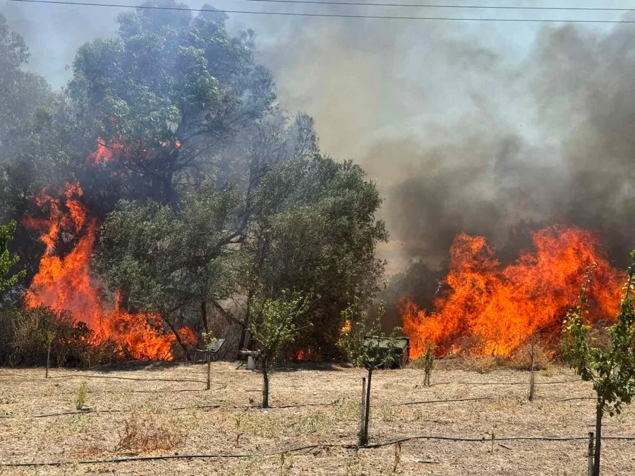 Φωτιά στην Αντιμάχεια της Κω – Στο σημείο επιχειρεί και ένα ελικόπτερο